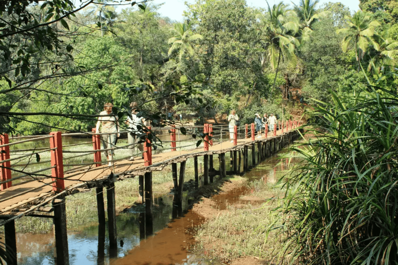 Goa Spice Plantations