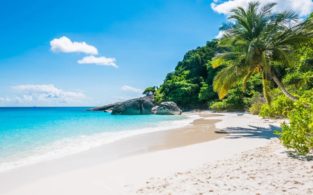 Self drive car in goa